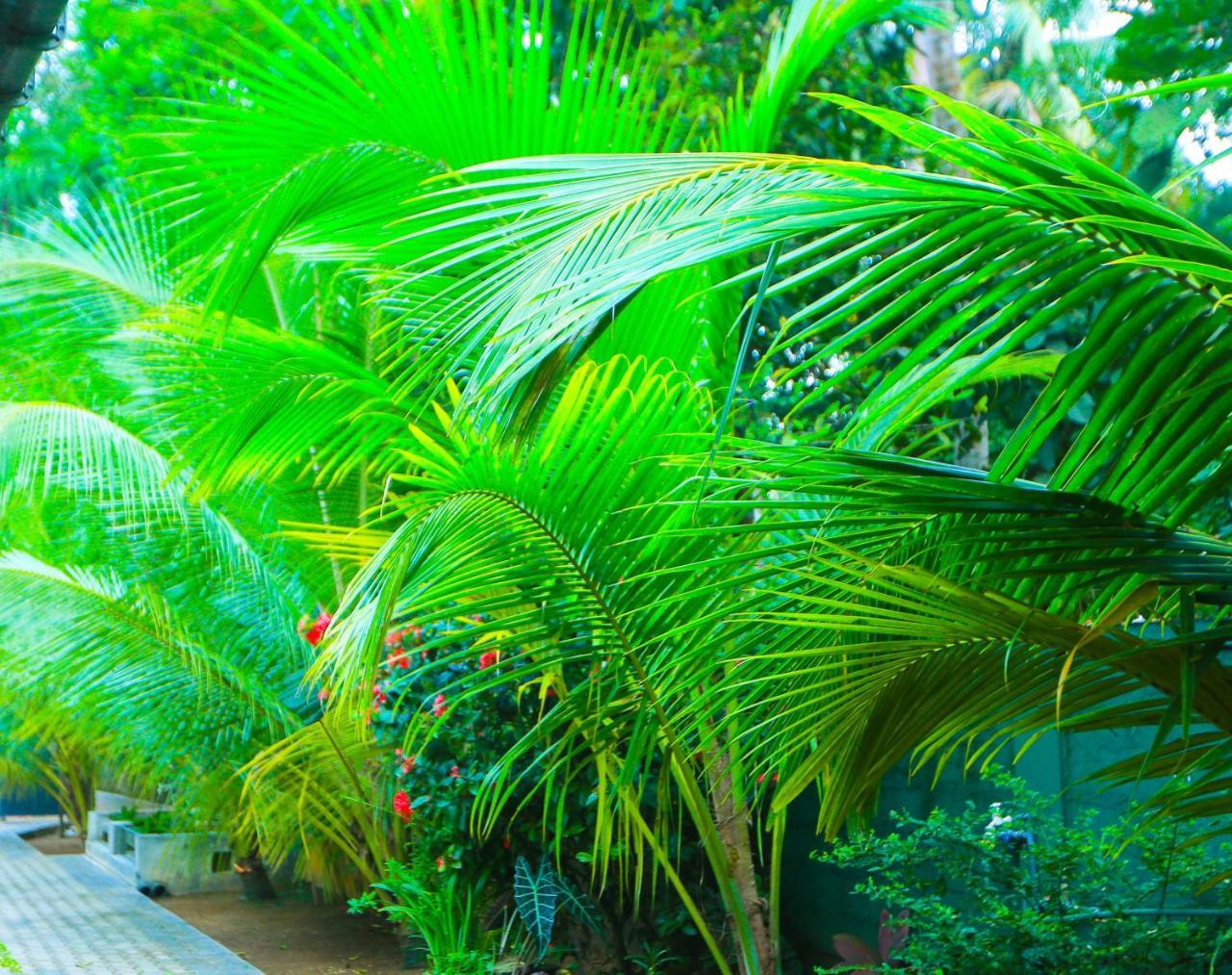 Sri Lankan Villa Elagawagoda Екстер'єр фото